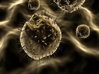 Erkek Yumurtalık Kanseri Belirtileri ve Tedavisi